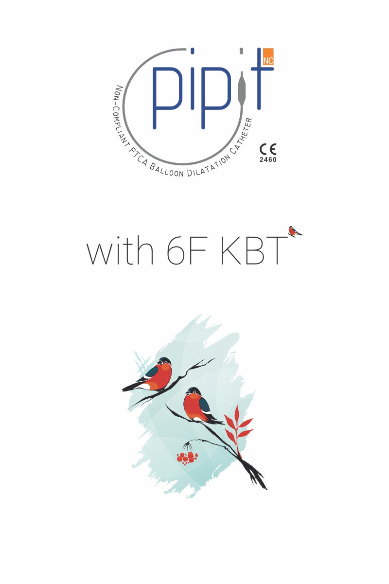 Image Mobile Pipit NC